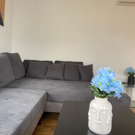 Luxury Apartment With Air Conditioning & Jaccuzzi Near Frankfurt Wiesbaden Hofheim am Taunus Εξωτερικό φωτογραφία